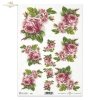 pink roses, flowers, flower, roses, beautiful roses, roses in buds